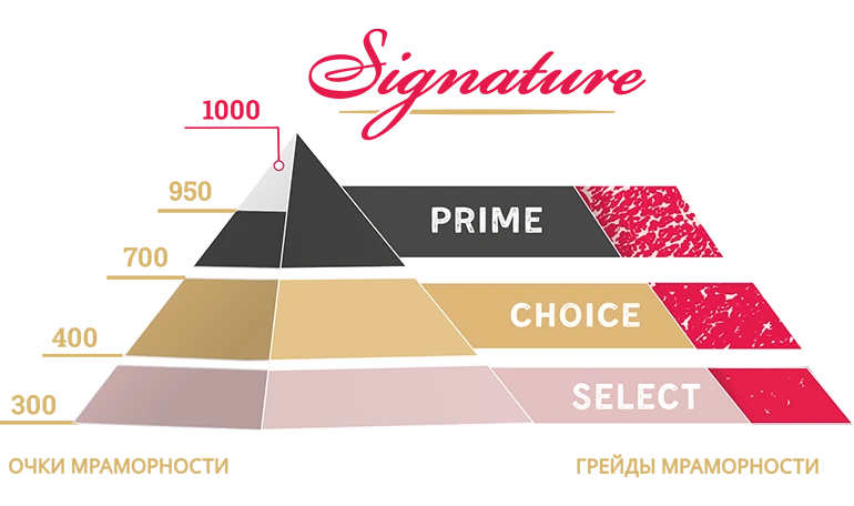 img_signature.png